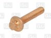 S-TR STR-40224 Bolt, exhaust system